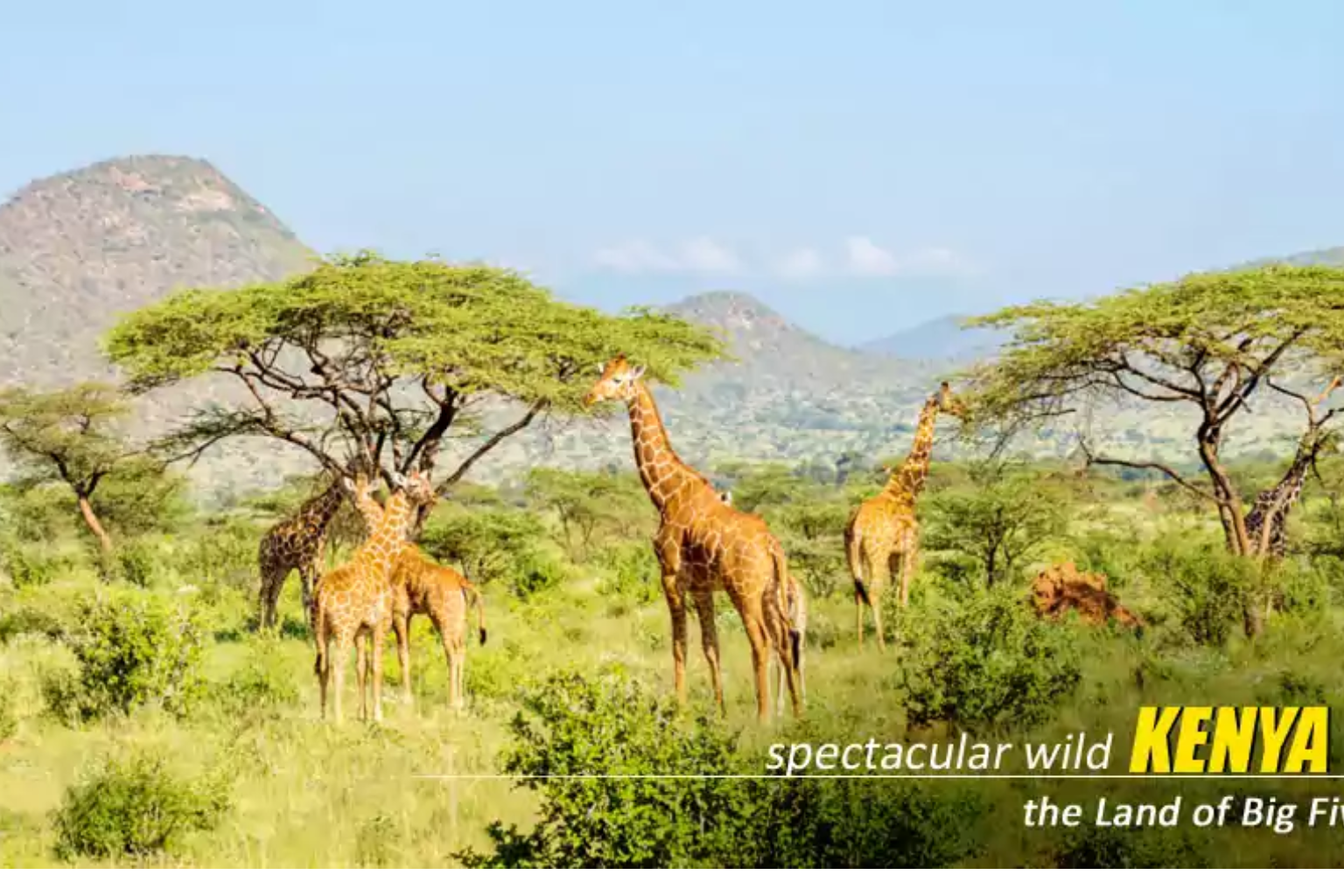 Kenya tour package